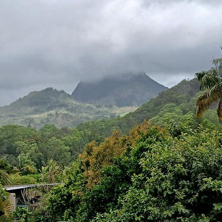 Horizon Des Pitons Apartman Salazie Kültér fotó