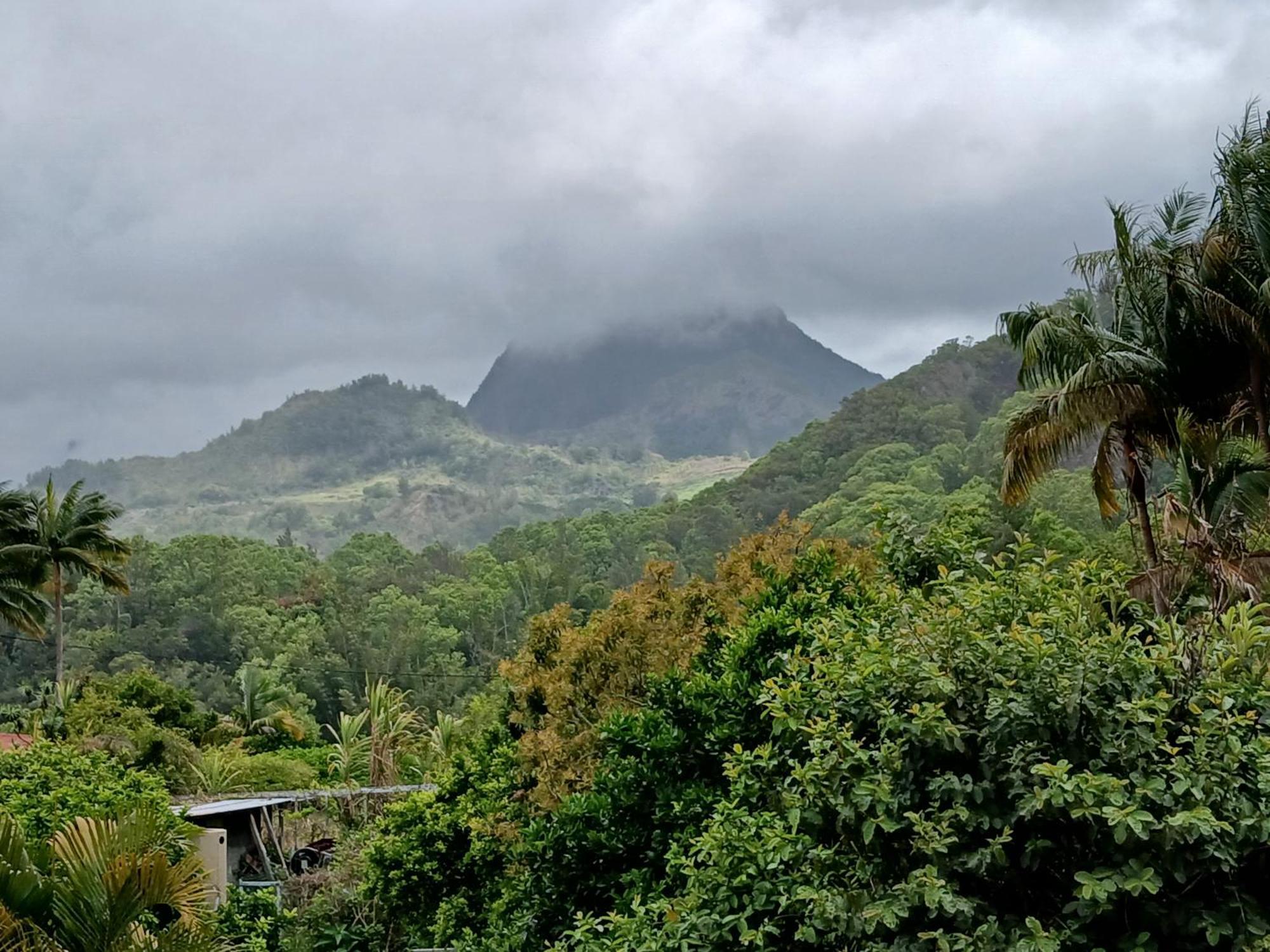 Horizon Des Pitons Apartman Salazie Kültér fotó